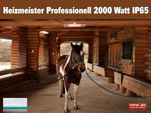Infrarot Wärmestrahler Pferdesolarium Heizmeister Professionell 2000 Watt IP65 im Pferdestall